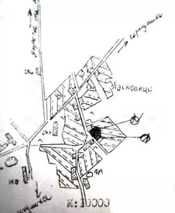 Кадастровая карта псковской области палкинский район