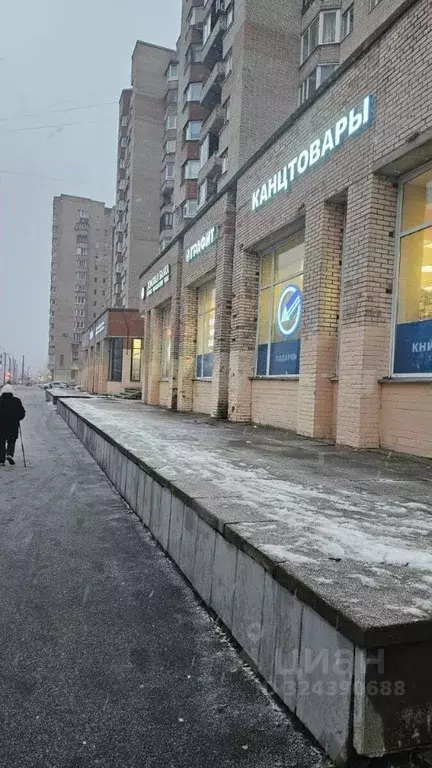 Торговая площадь в Санкт-Петербург просп. Просвещения, 76 (100 м) - Фото 1