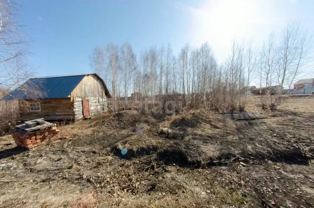 Участок в Курганская область, Шадринск пос. Звездный, ул. Васильковая ... - Фото 1