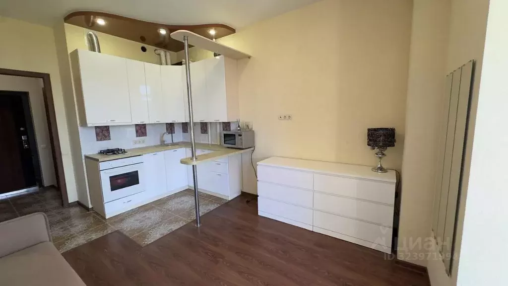 Студия Краснодарский край, Сочи ул. Тимирязева, 52/6 (28.0 м) - Фото 2