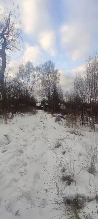 Участок в Нижегородская область, Чкаловск городской округ, д. ... - Фото 1