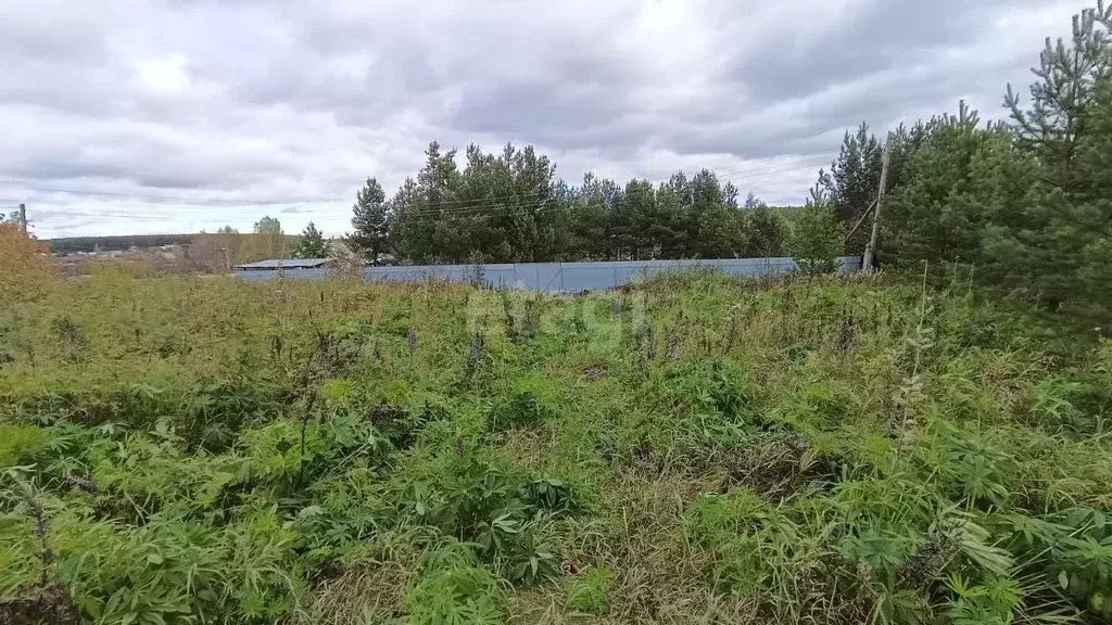 Участок в Свердловская область, Белоярский муниципальный округ, д. ... - Фото 0