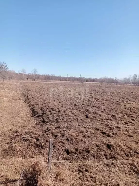 Участок в Амурская область, Благовещенский район, с. Новопетровка  ... - Фото 1
