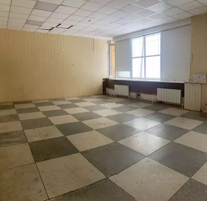 Торговая площадь в Самарская область, Тольятти ул. Мира, 115 (402 м) - Фото 1