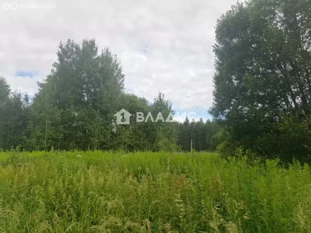 Участок в Владимир, СТ Миловка, 244 (10 м) - Фото 1
