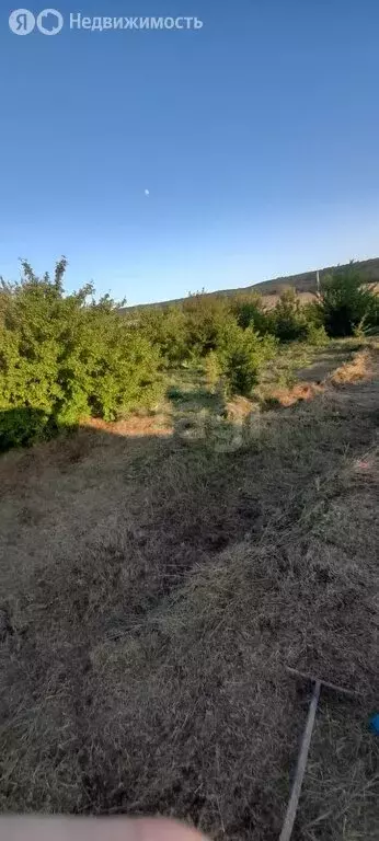 Участок в Краснодарский край, городской округ Новороссийск, хутор ... - Фото 2