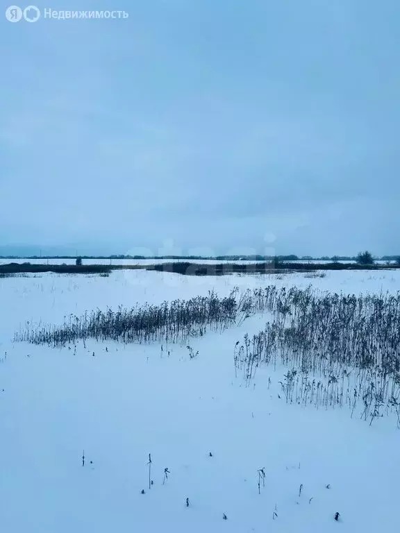 Участок в Калининградская область, Гвардейский муниципальный округ, ... - Фото 1