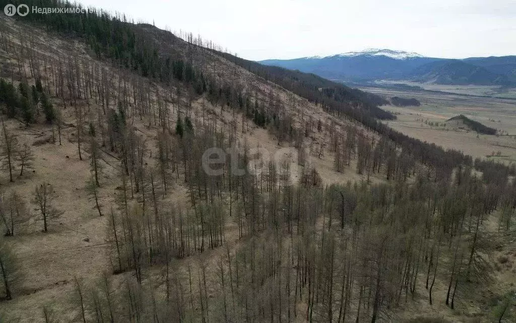 Участок в Онгудайский район, село Ело (168.59 м) - Фото 1