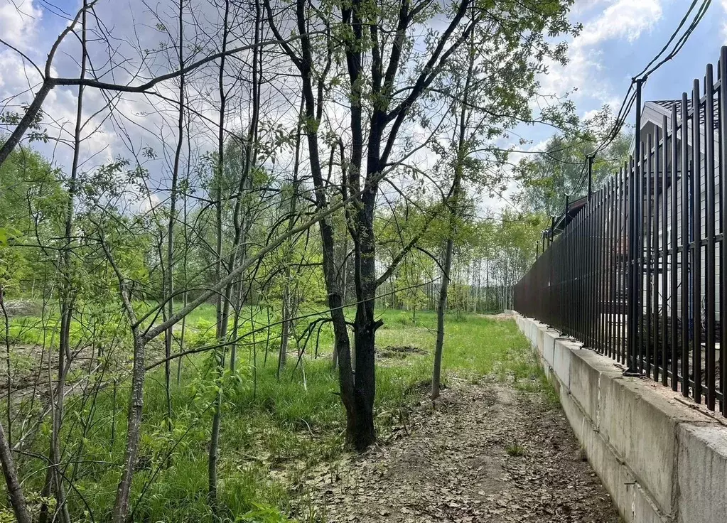 Участок в Московская область, Богородский городской округ, д. ... - Фото 1