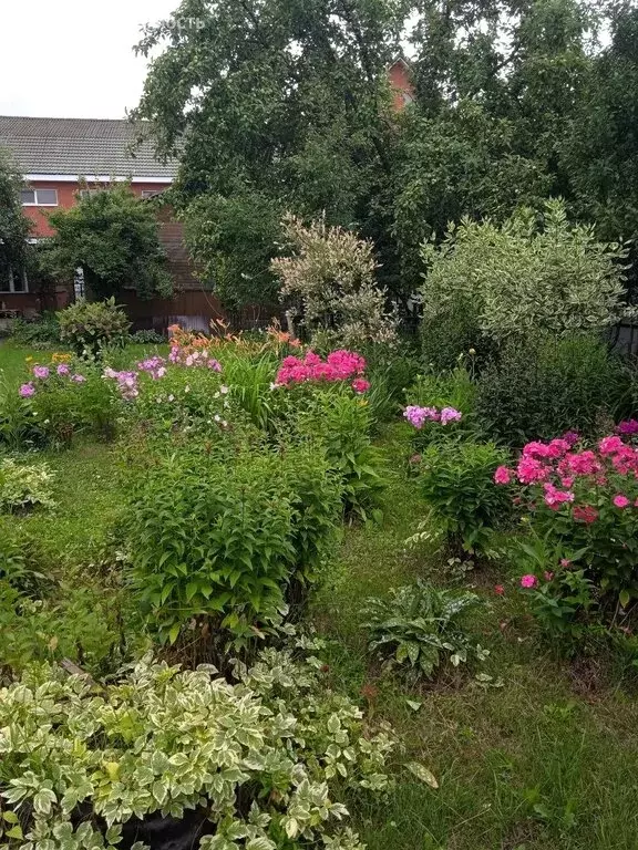 Участок в деревня Сёмкино, СНТ Сёмкино, 3 (9.45 м) - Фото 2