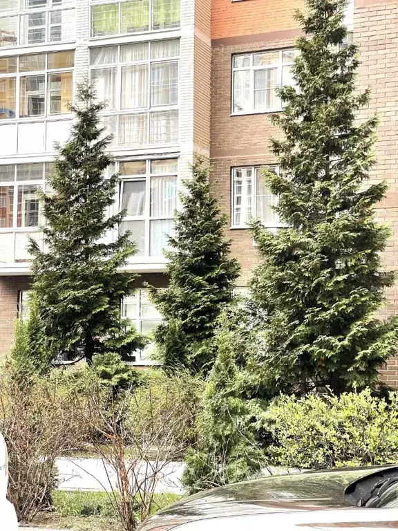 2-к кв. Москва пос. Коммунарка, ул. Липовый Парк, 2 (73.9 м) - Фото 1