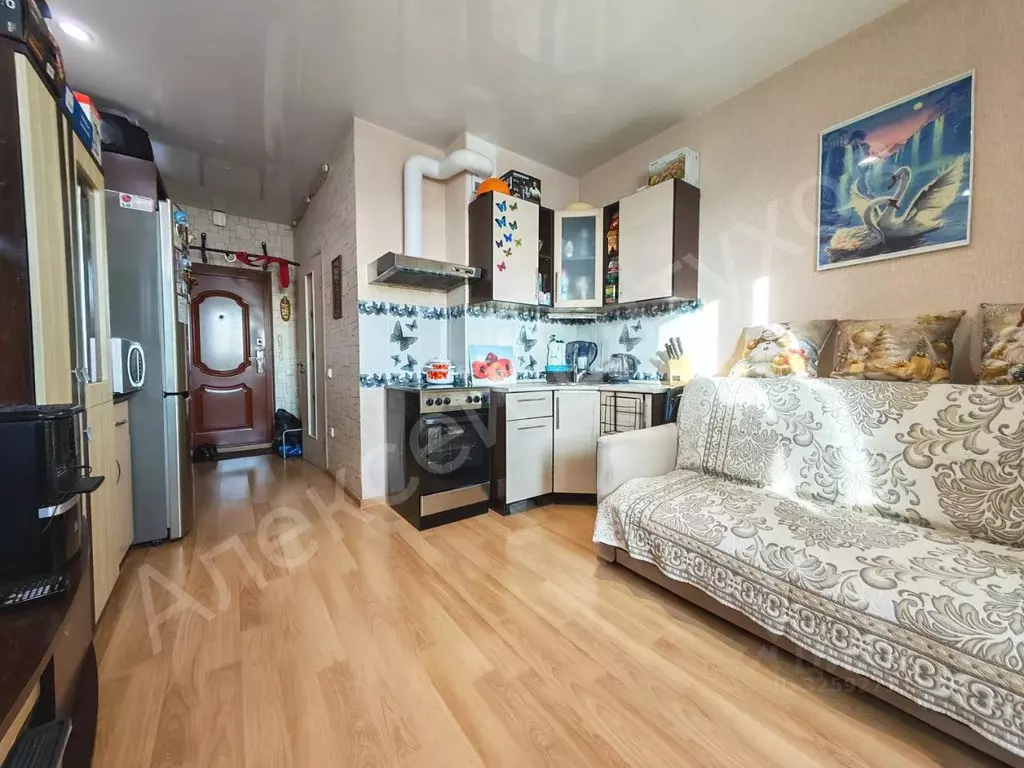 Студия Новосибирская область, Новосибирск Народная ул., 50 (19.0 м) - Фото 2