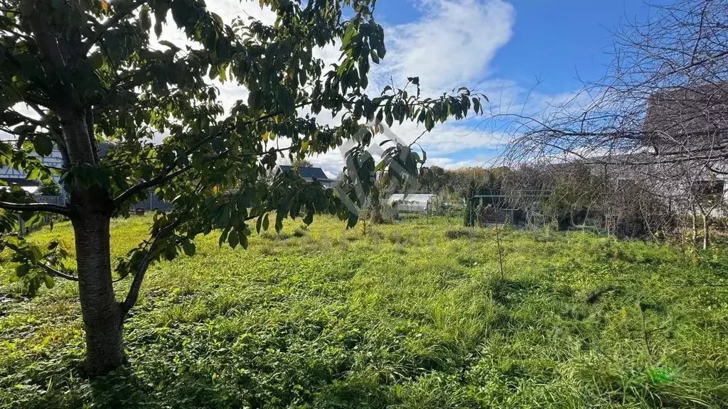 Участок в Калининградская область, Янтарный пгт, Садовник СНТ ул. ... - Фото 1