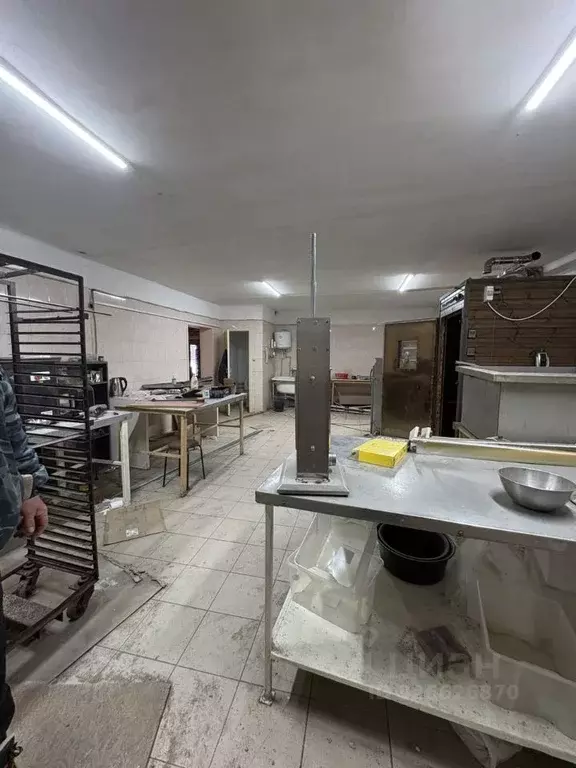 Производственное помещение в Воронежская область, Воронеж Масловка ... - Фото 1