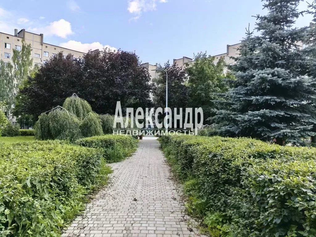 2-к кв. Санкт-Петербург Отечественная ул., 2/11 (45.6 м) - Фото 1