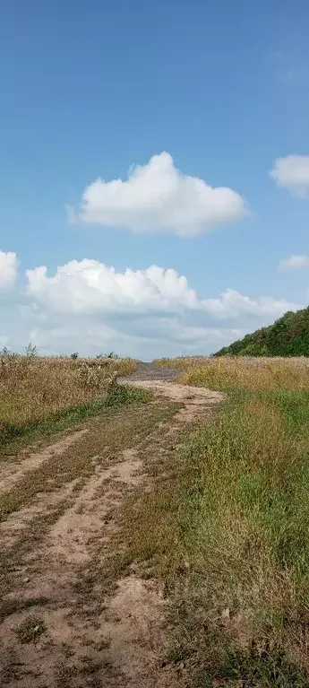 Участок в Курская область, Курск ул. Листопадная (10.0 сот.) - Фото 1