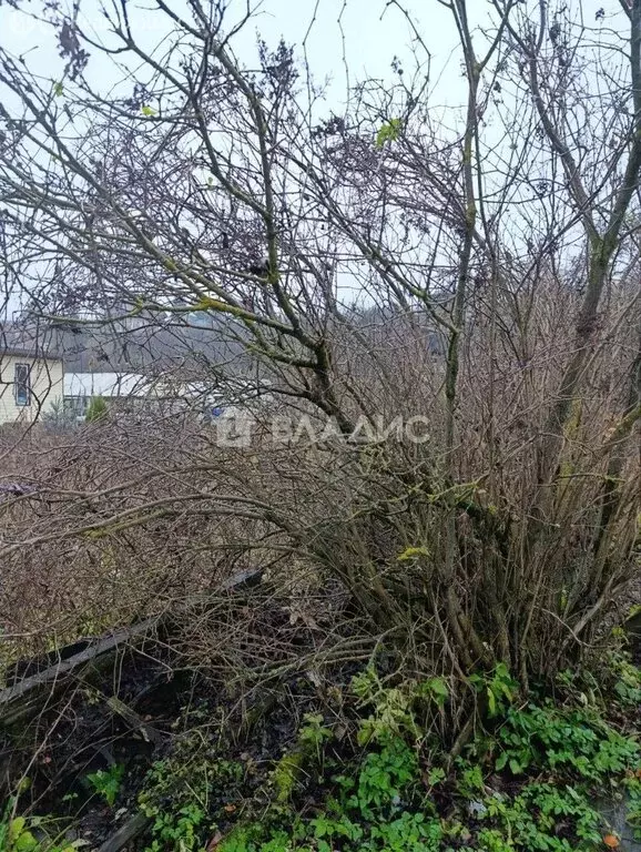 Дом в посёлок Боголюбово, улица Фрунзе, 86 (44 м) - Фото 1