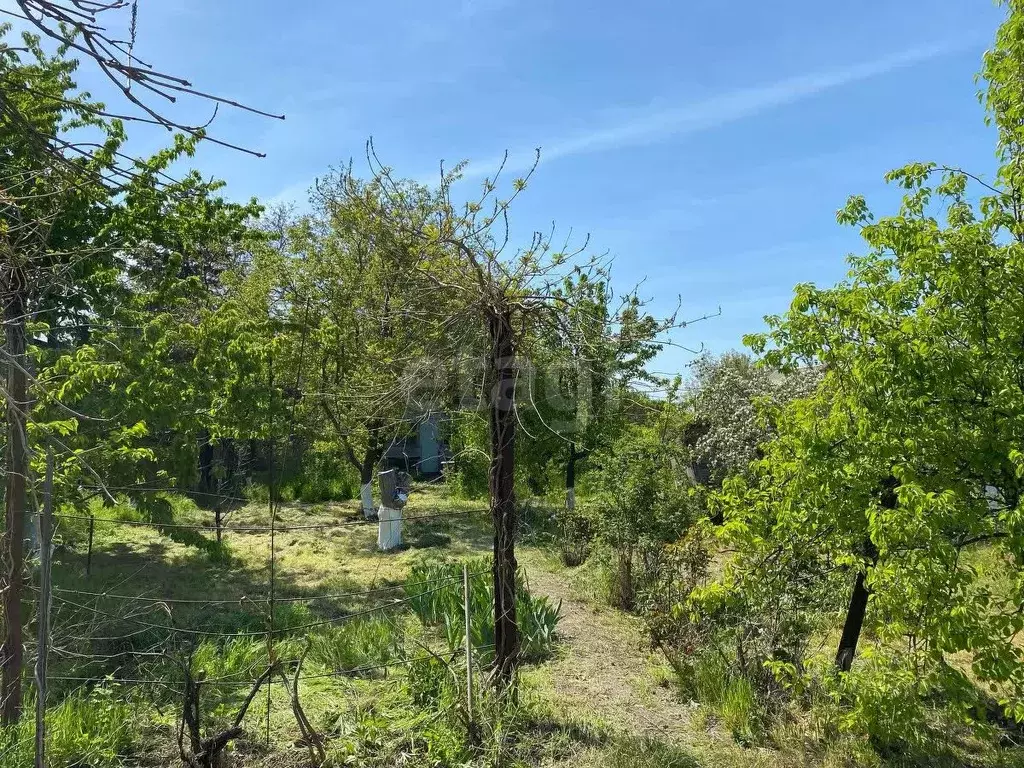 Участок в Ростовская область, Азов Азовский район, ул. Ромашковая ... - Фото 1