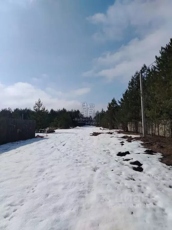 Участок в Воронежская область, Верхнехавский район, Углянское с/пос, ... - Фото 1