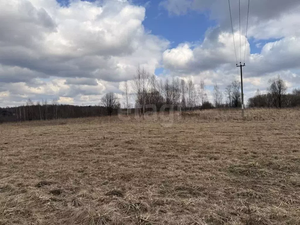 Участок в Смоленская область, Смоленский муниципальный округ, д. ... - Фото 2