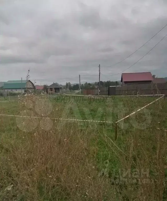 Участок в Алтайский край, Алтайский район, Айский сельсовет, с. Ая ул. ... - Фото 1