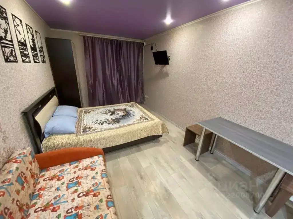 1-к кв. Саратовская область, Саратов Огородная ул., 157 (26.0 м) - Фото 2