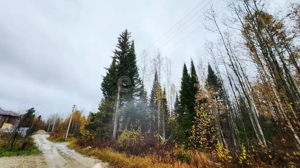 Участок в Ханты-Мансийский АО, Ханты-Мансийск Строитель ... - Фото 1