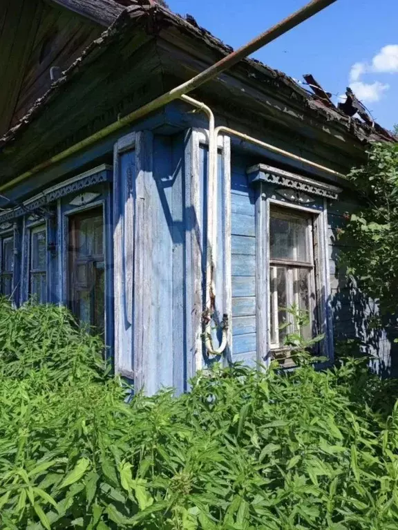 Участок в Нижегородская область, Бор муниципальный округ, д. ... - Фото 2