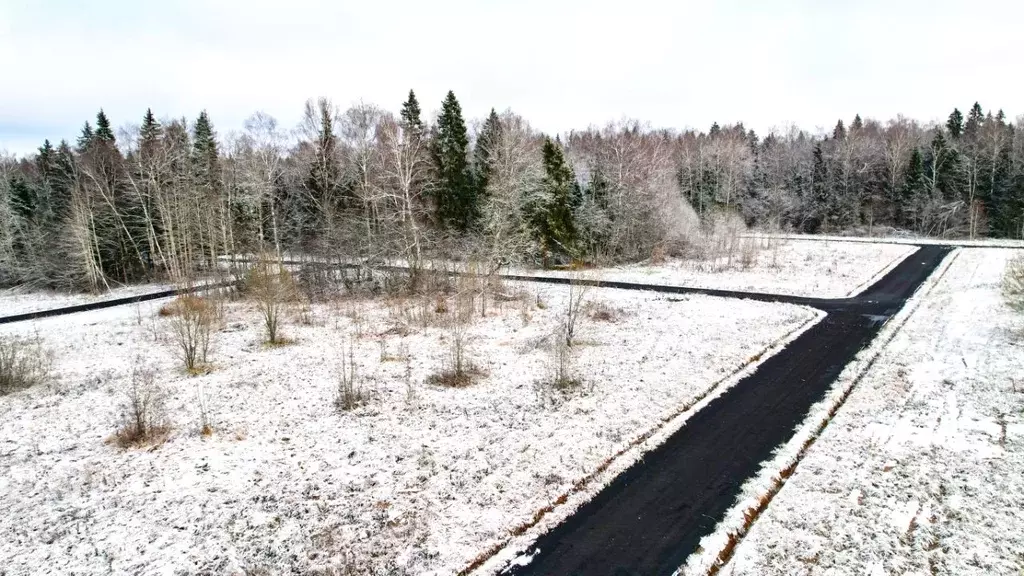 Участок в Московская область, Дмитровский муниципальный округ, ... - Фото 1