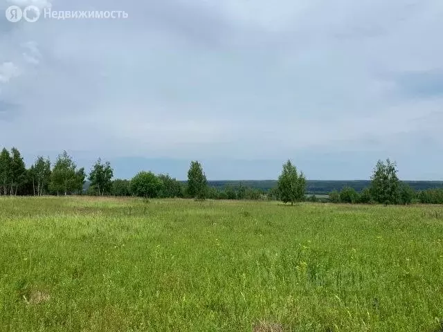 Участок в Владимирская область, Александровский муниципальный округ, ... - Фото 2
