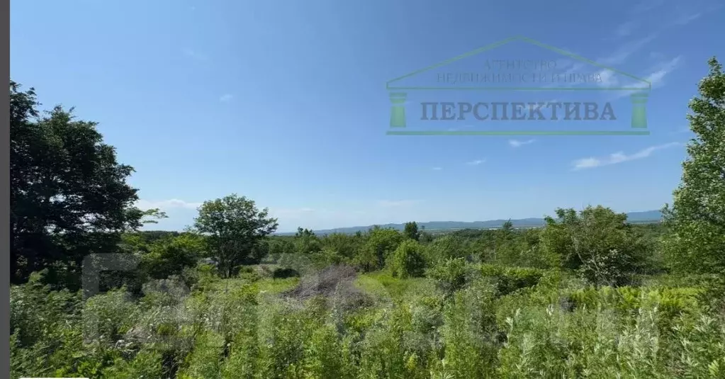 Участок в Приморский край, Артем Нарцисс СНТ, 151 (9.75 сот.) - Фото 1