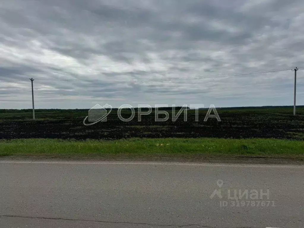Участок в Тюменская область, Тюменский район, д. Ушакова ул. ... - Фото 0