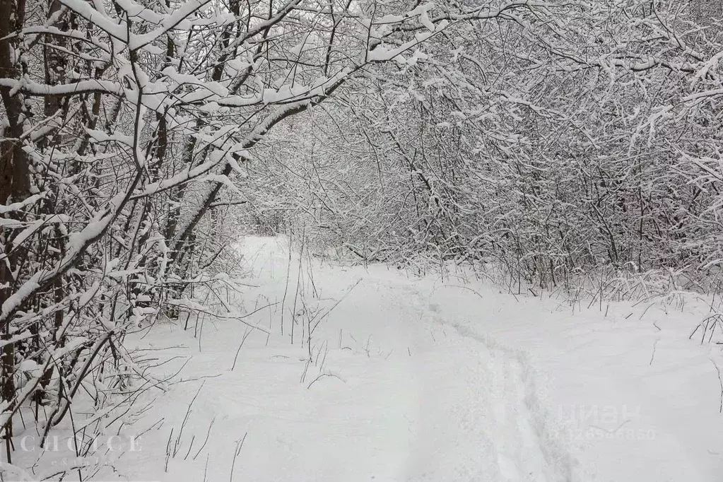 Участок в Московская область, Одинцовский городской округ, д. Жуковка, ... - Фото 2