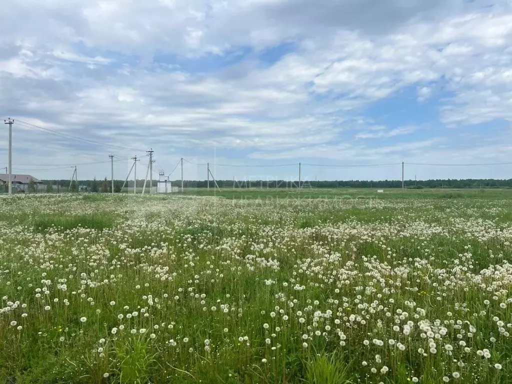 Участок в Тюменская область, Тюменский район, д. Елань  (8.02 сот.) - Фото 0