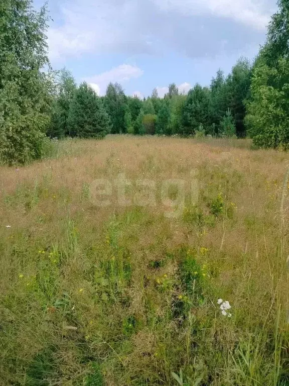 Участок в Кировская область, Киров городской округ, д. Эсауловы  (15.0 ... - Фото 1