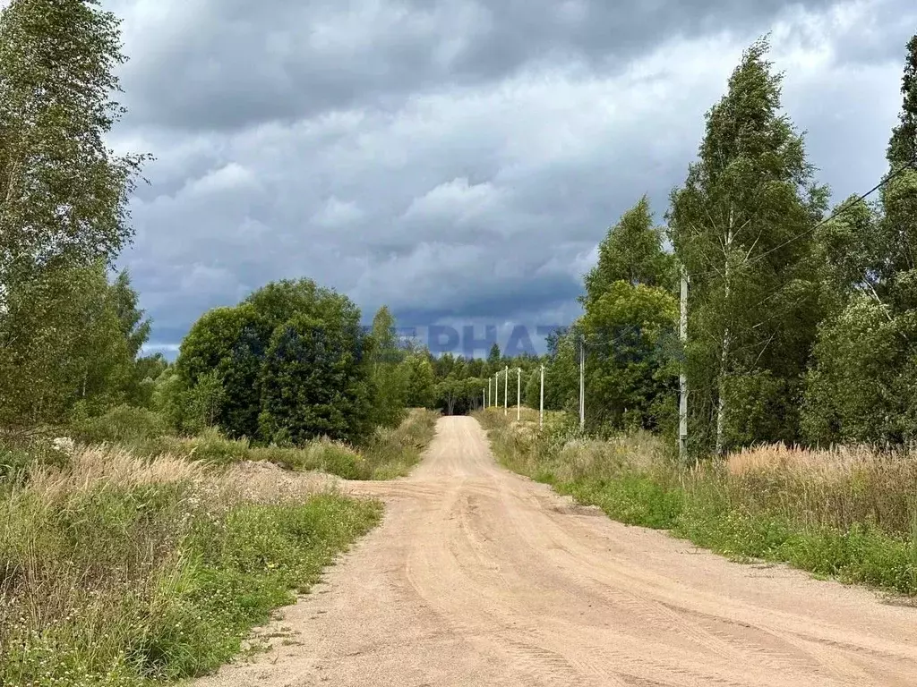 Участок в Ярославская область, Переславль-Залесский муниципальный ... - Фото 1