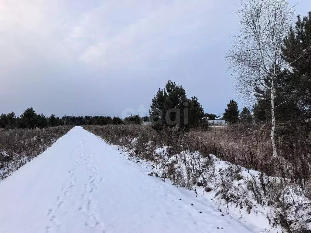 Участок в Тюменская область, Нижнетавдинский муниципальный округ, ... - Фото 1