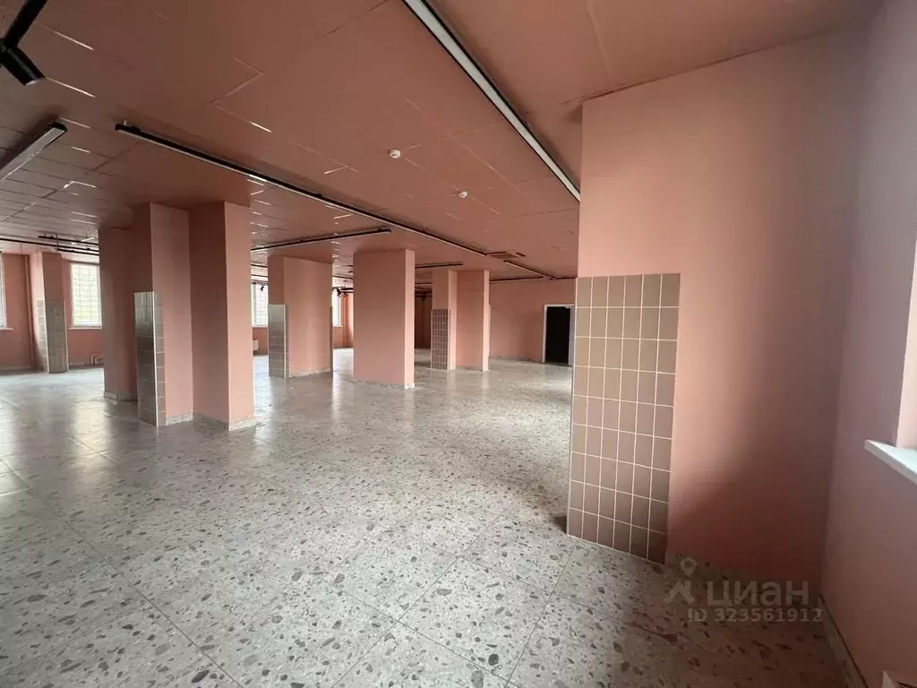 Торговая площадь в Свердловская область, Екатеринбург ул. Рощинская, ... - Фото 1