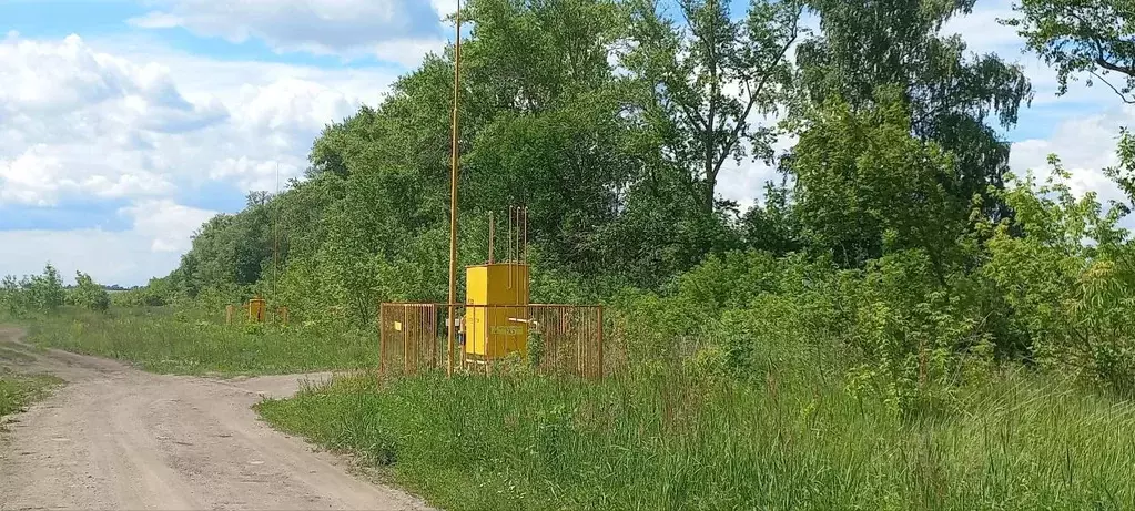 Участок в Пензенская область, с. Бессоновка ул. Совхозная (7.0 сот.) - Фото 0