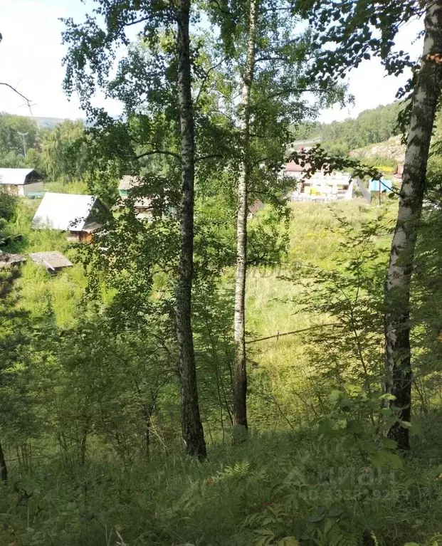 Участок в Алтай, Майминский район, пос. Дубровка Школьная ул., 6 (12.0 ... - Фото 2