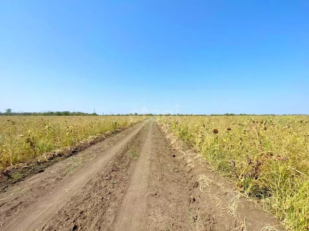 Участок в Краснодарский край, Ейск  (6.0 сот.) - Фото 2