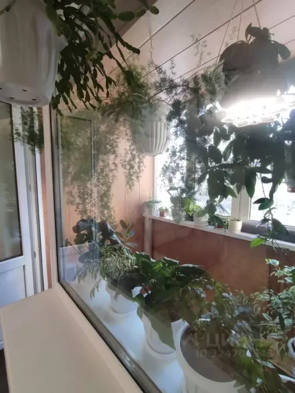 4-к кв. Омская область, Омск Заозерная ул., 9А (61.0 м) - Фото 2