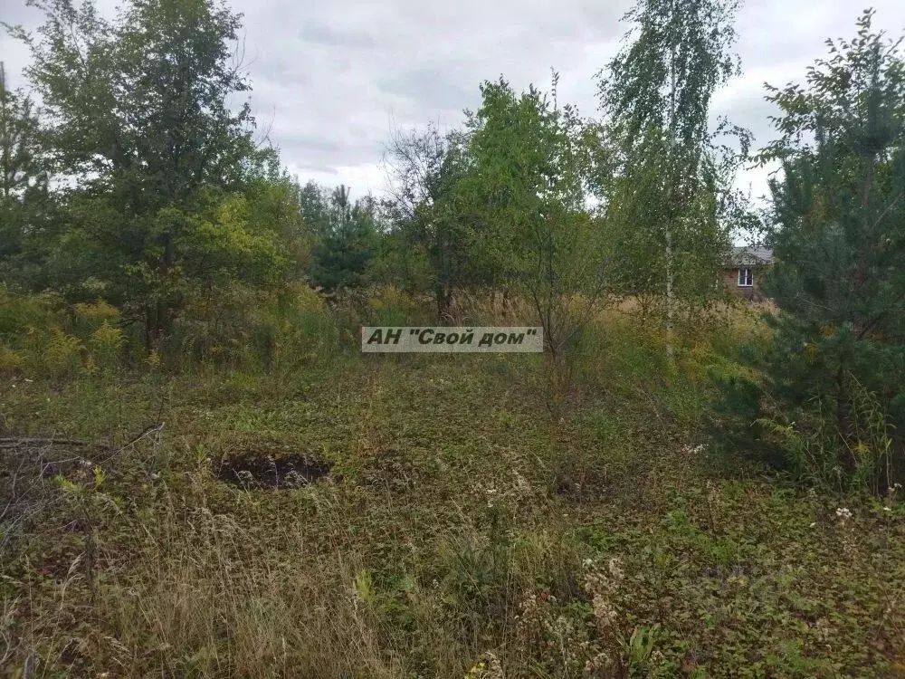 Участок в Воронежская область, Новоусманский район, с. Бабяково ... - Фото 1