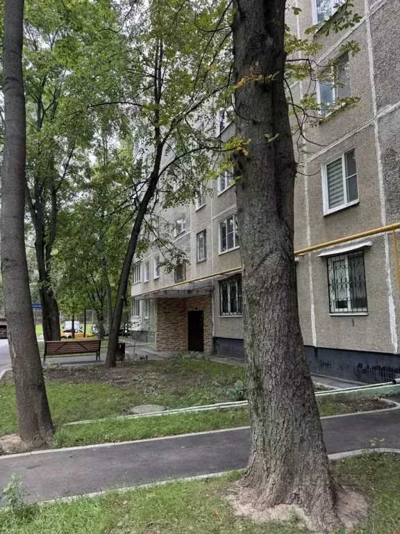 Студия Москва ул. Красного Маяка, 8К2 (18.0 м) - Фото 2