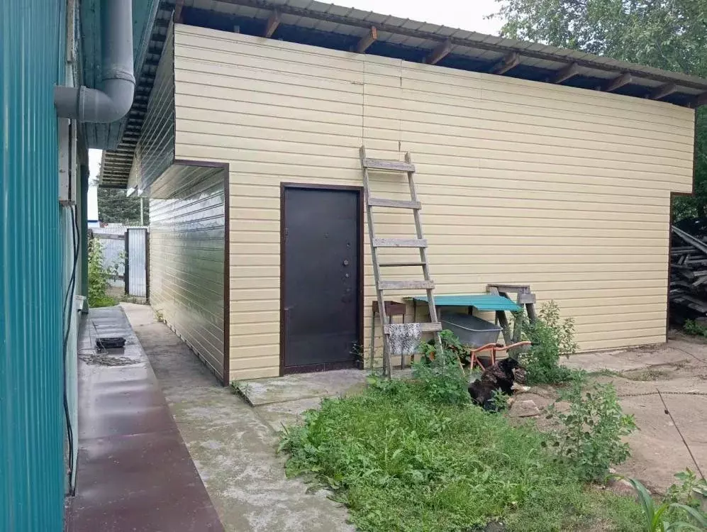 Дом в Амурская область, Белогорск ул. Гаюнова, 63 (51 м) - Фото 2