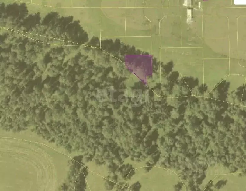 Участок в Новосибирская область, Новосибирский район, Морской ... - Фото 1