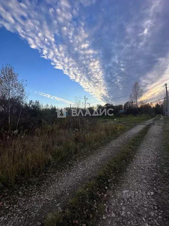 Участок в Нижегородская область, Богородский муниципальный округ, ... - Фото 1