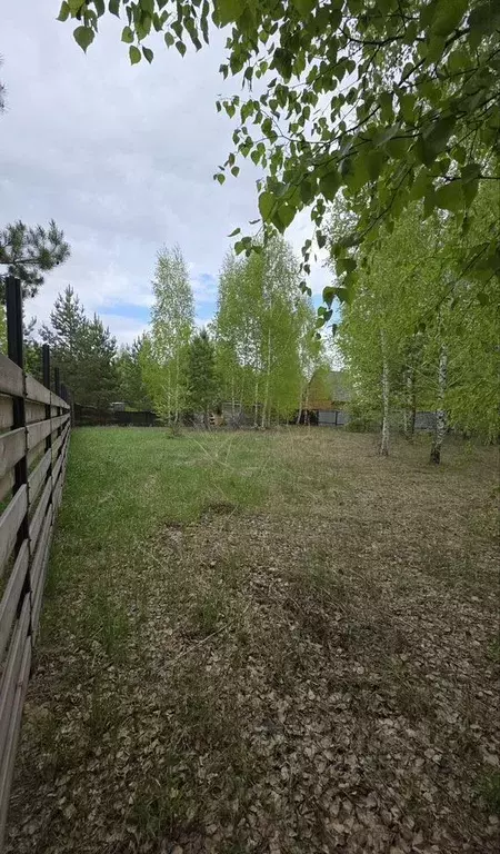 Участок в Новосибирская область, Искитимский район, Быстровский ... - Фото 2