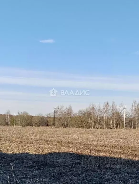 Участок в Владимирская область, Суздальский муниципальный округ, пос. ... - Фото 1