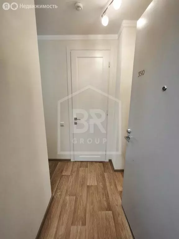Квартира-студия: Санкт-Петербург, Союзный проспект, 10 (30 м) - Фото 1